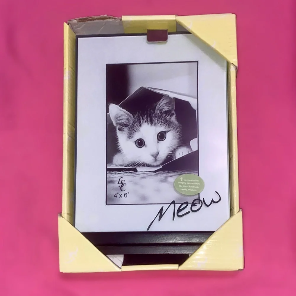 “Meow” Cat Picture Frame Glass Black White Border Kitten Kitty Pet Animal Home